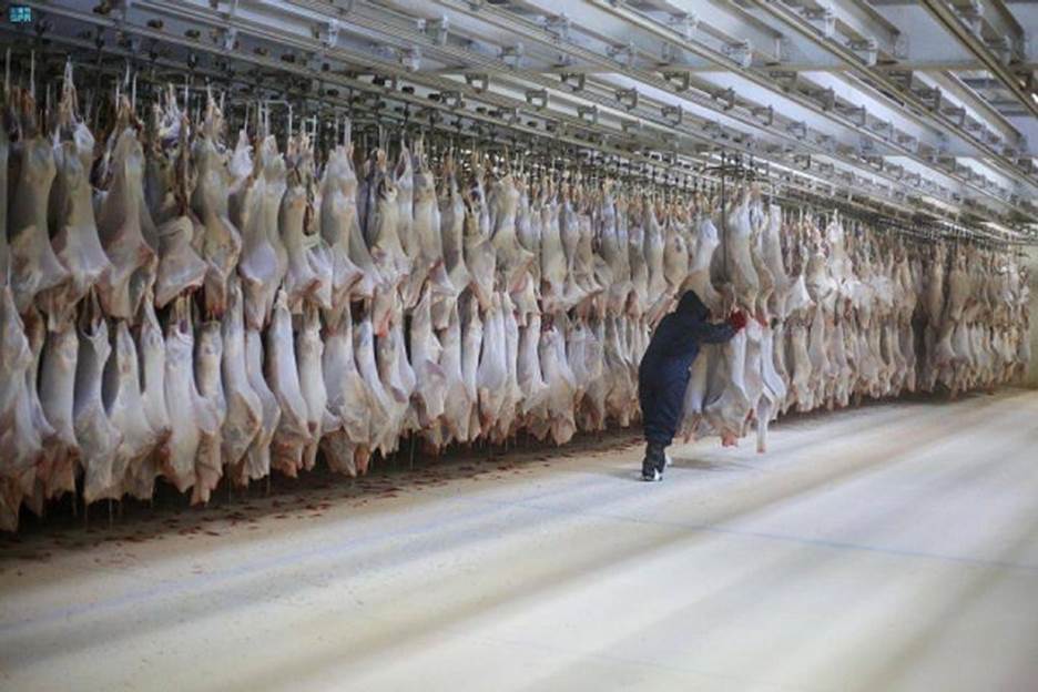 A picture containing slaughterhouse, indoor  Description automatically generated