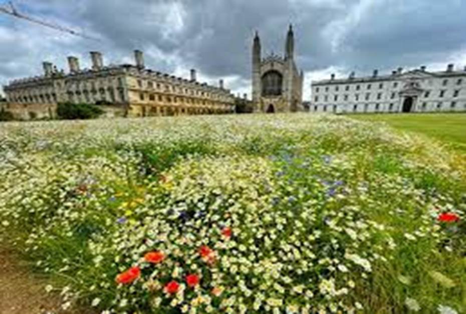 Cambridge University | Flickr