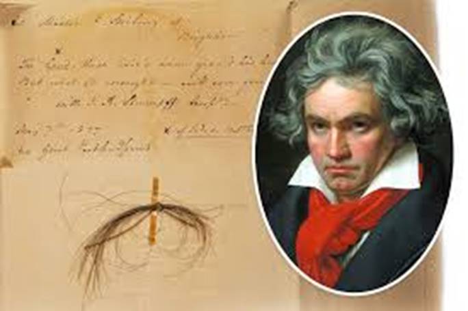 DNA from Beethoven's hair could explain ...