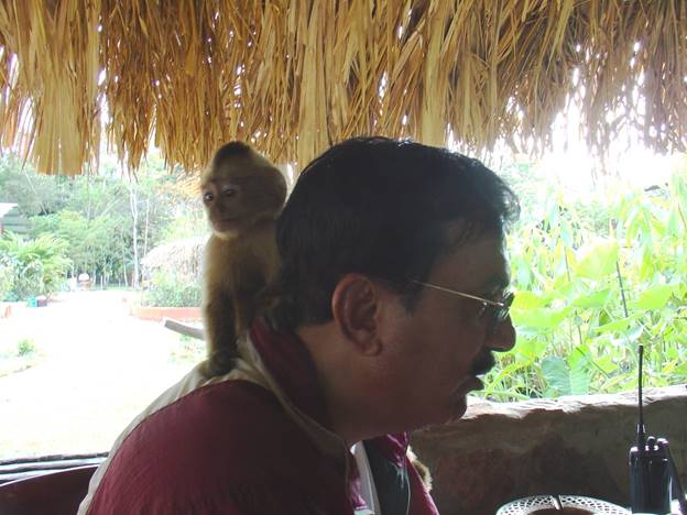 A person sitting on his shoulder with a monkey on his back  Description automatically generated