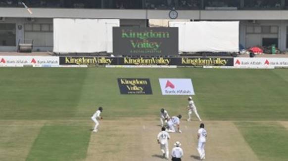 Forster’s remote camera was able to catch Stokes’s bat at the peak of its flight, top left