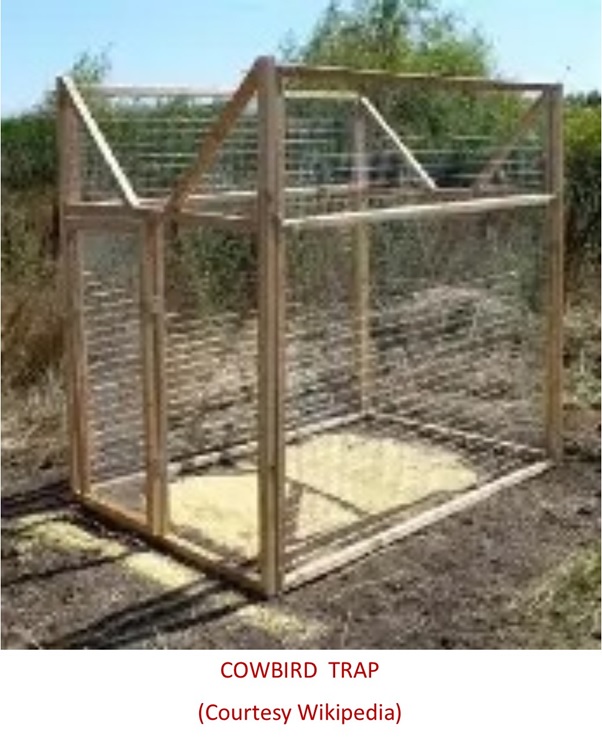 A cage in a field  AI-generated content may be incorrect.