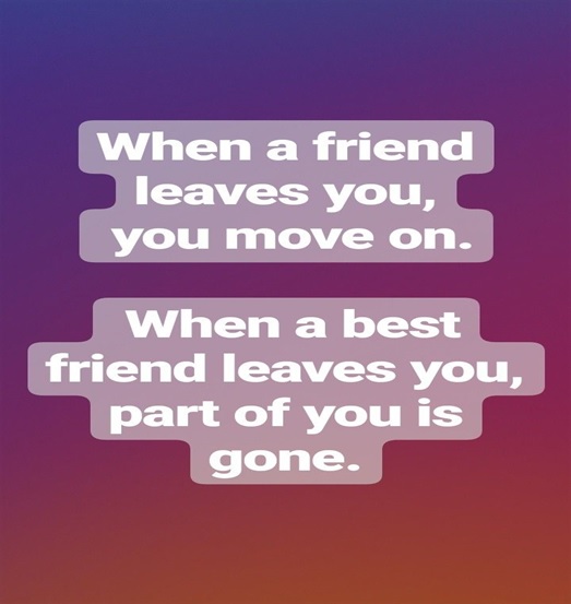 When a friend leaves you, you move on. But when a best friend leaves you...