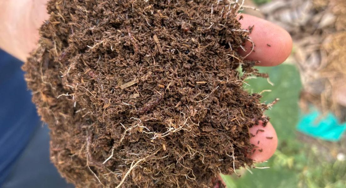 A hand holding dirt  AI-generated content may be incorrect.