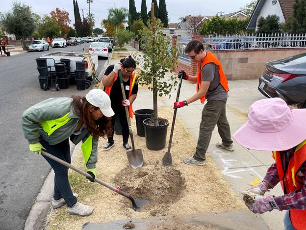 A group of people planting a tree  Description automatically generated