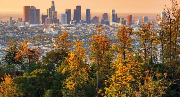 Los Angeles Trees