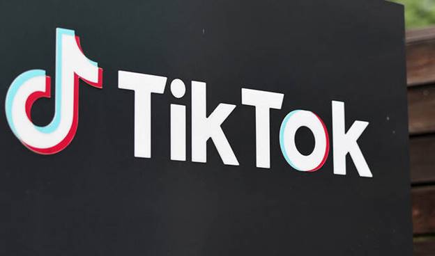 Cricket, travel, entertainment dominate Pakistan&rsquo;s TikTok searches in 2025