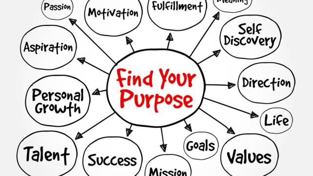 A diagram of a purpose  AI-generated content may be incorrect.