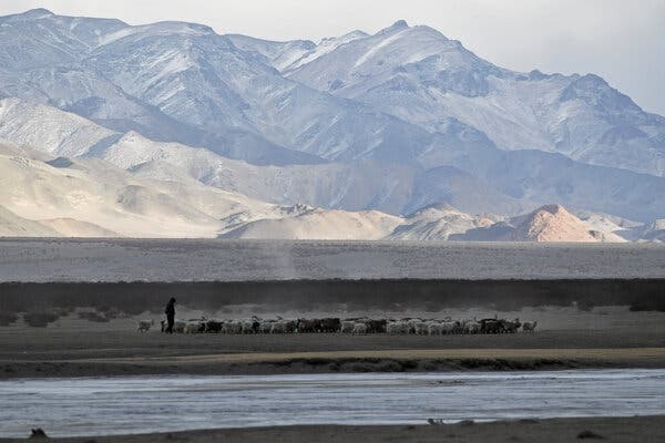 A view of tall, bare mountains, a snowy plain, and a heard of goats along a frozen river.